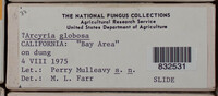 Image Associated With the Occurence